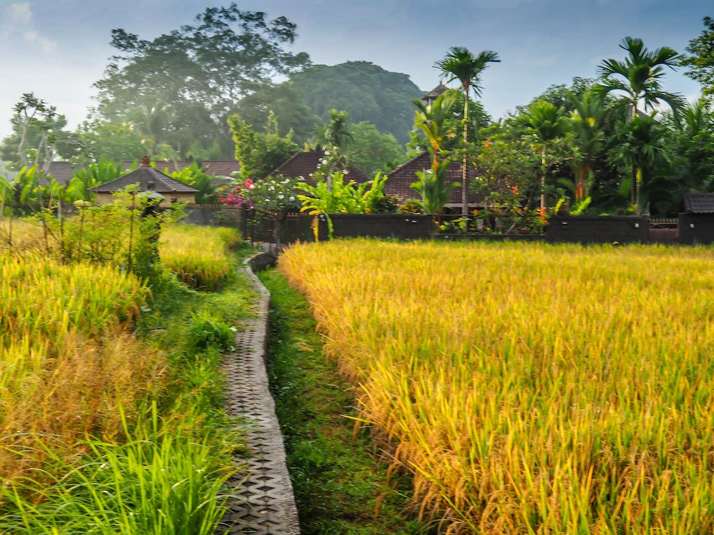 Devi's Place