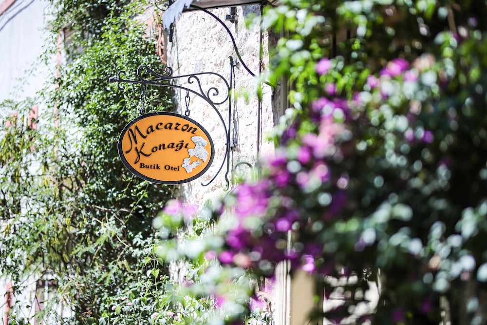 Macaron Konagi Ayvalik - Image 113