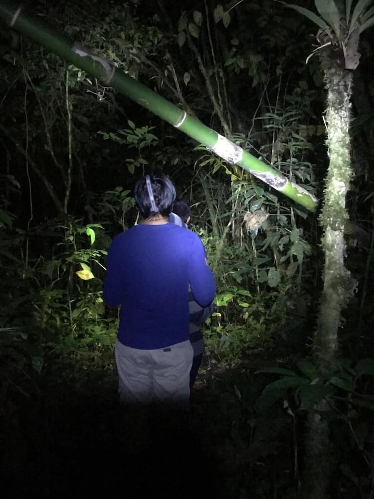 Grand Selva Lodge & Tours