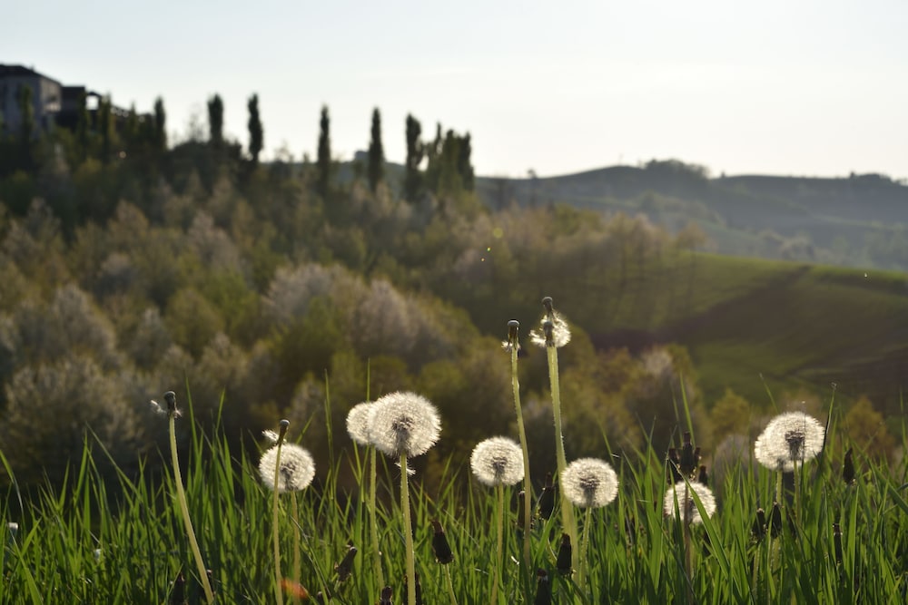 CasaMatilda Agriturismo Langhe