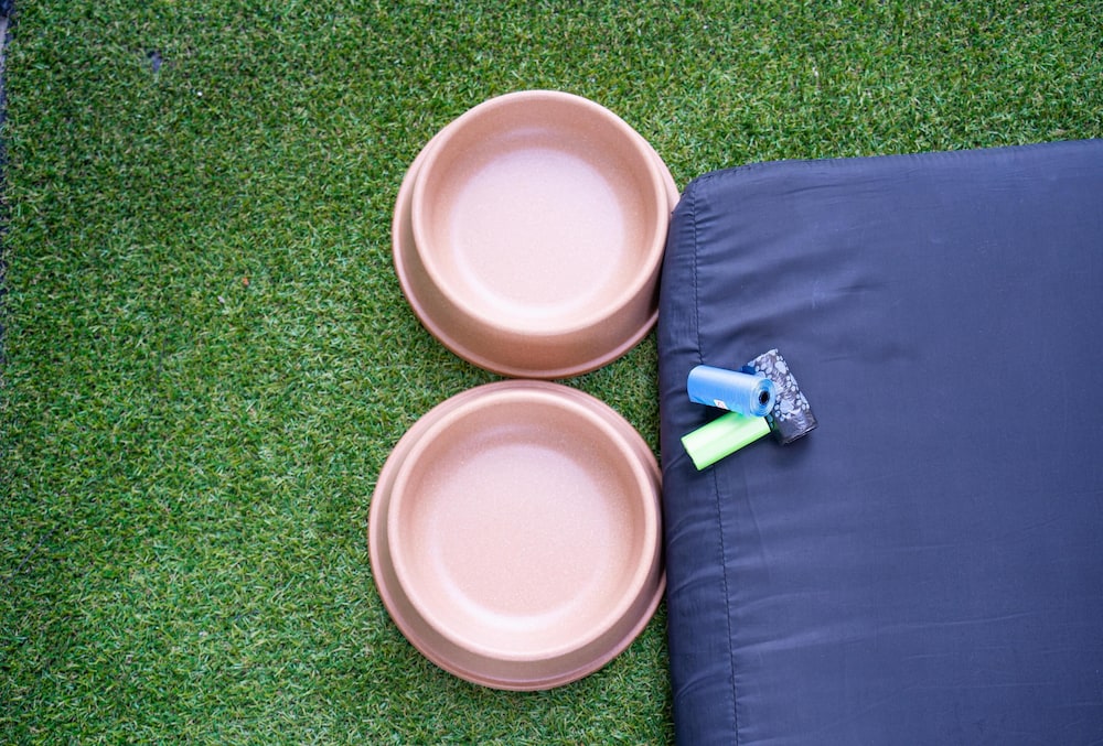 Be Together By Roots Rentals