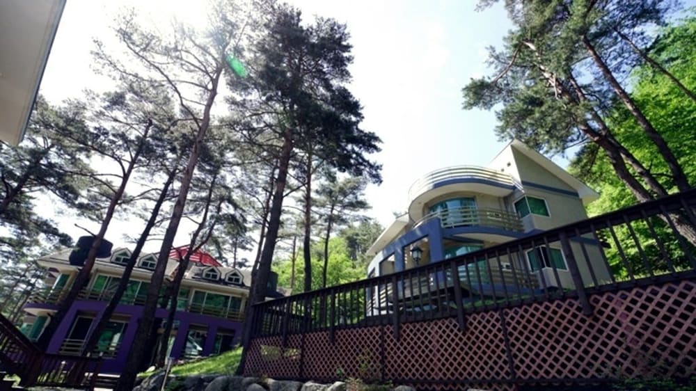 Royaltree Pension