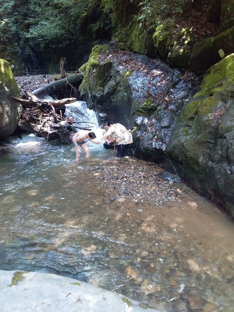 Photo 39