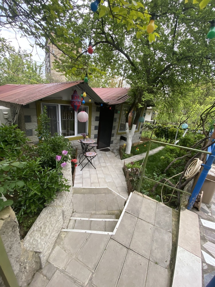 Photo 42
