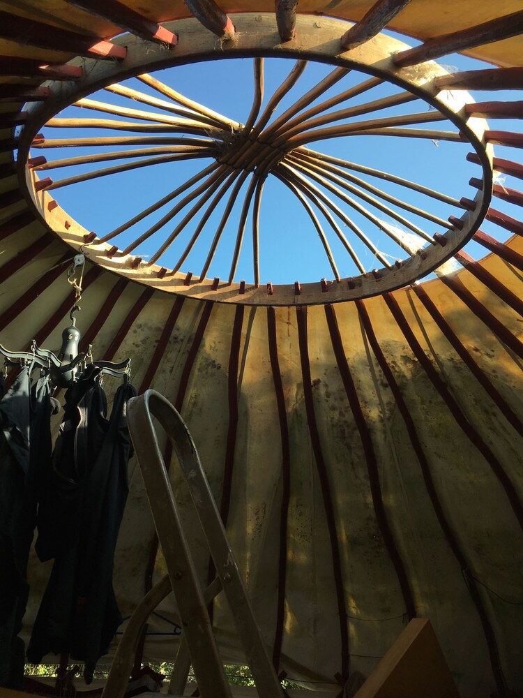 Yurt Luxury & Bathouse, photo 22