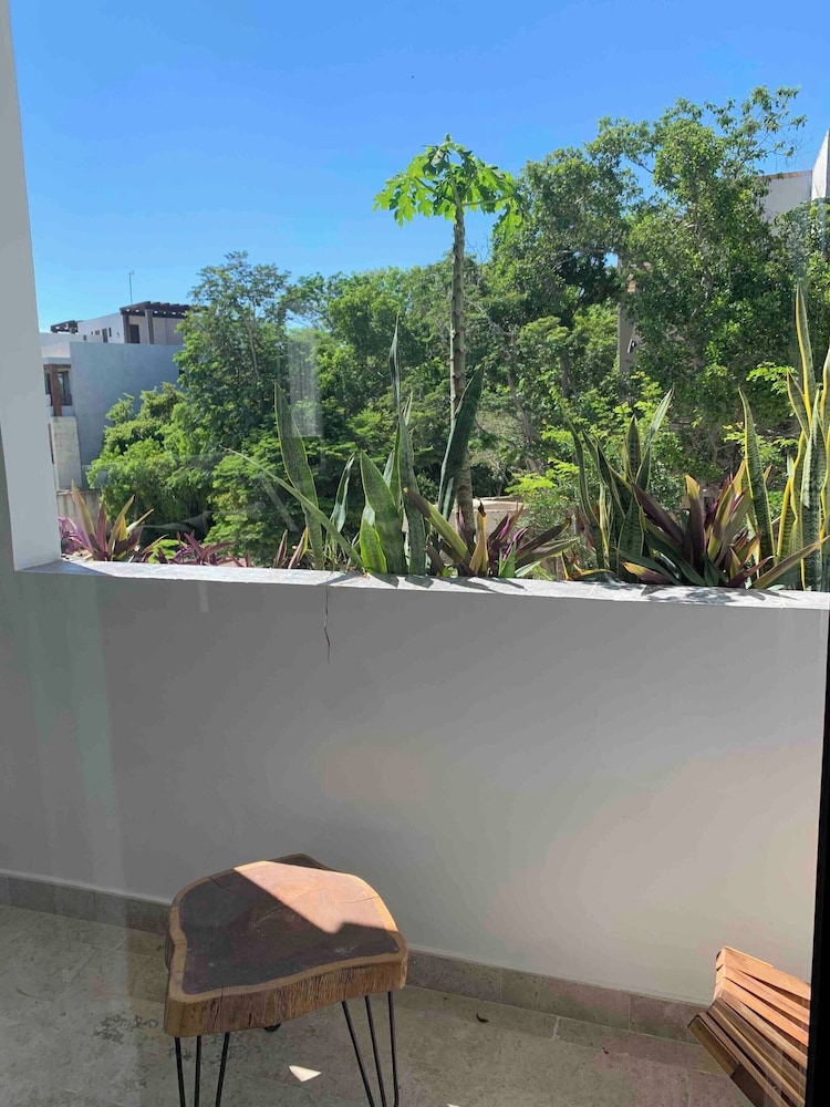 Perfect Studio Light and Nature in Aldea Zama