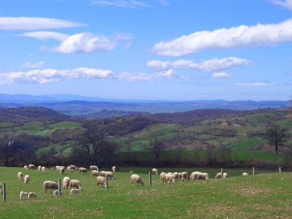 Agriturismo I Lapi