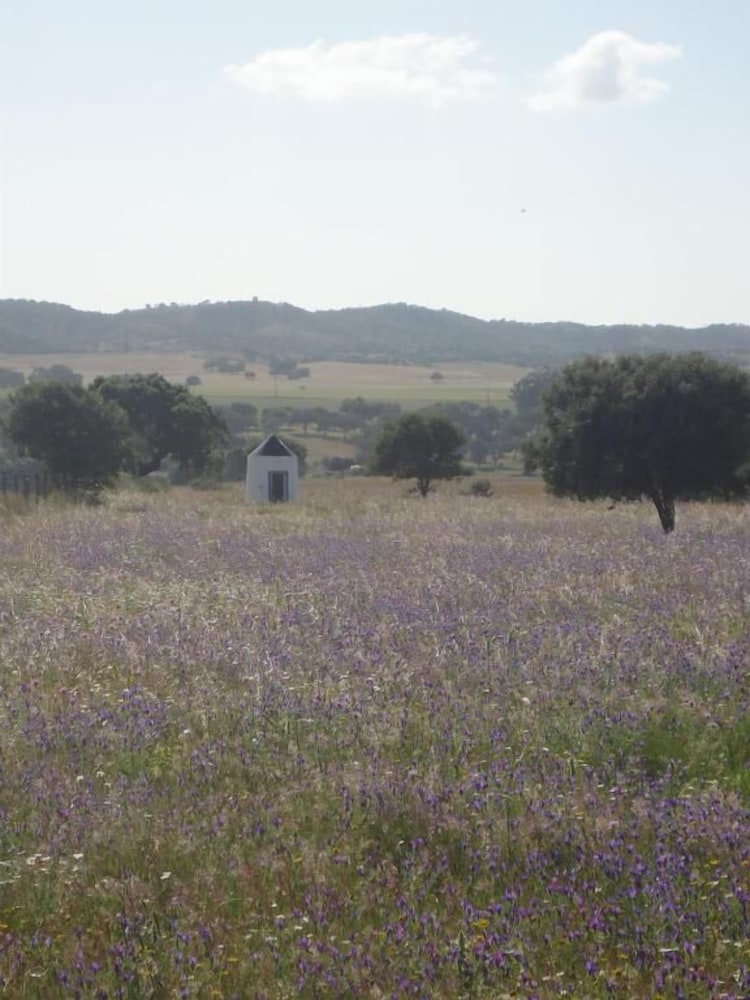 Herdade dos Montes Bastos - Property Image 1