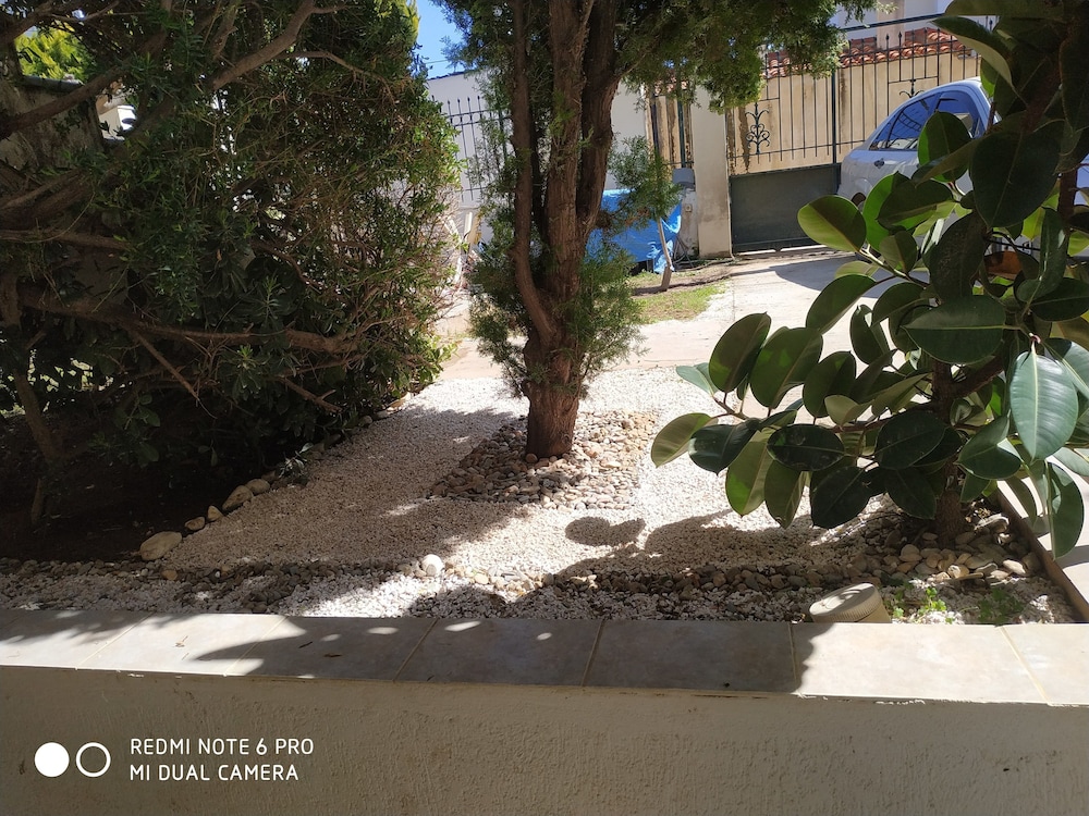 Photo 29