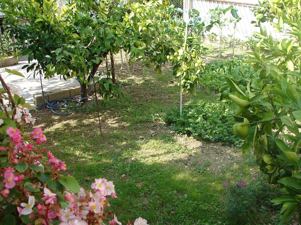 Photo 10