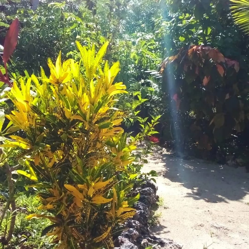 The Dream Garden Bungalow view 4