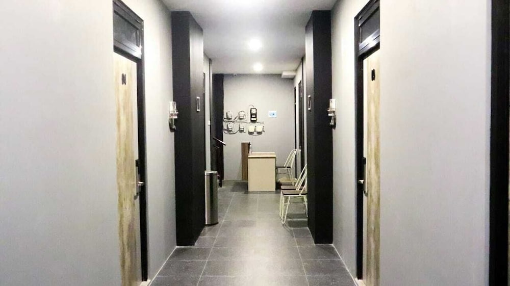 D'Paragon Beo