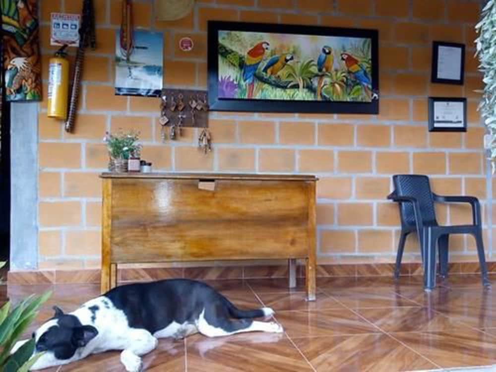 Hostal El Papiro, photo 15
