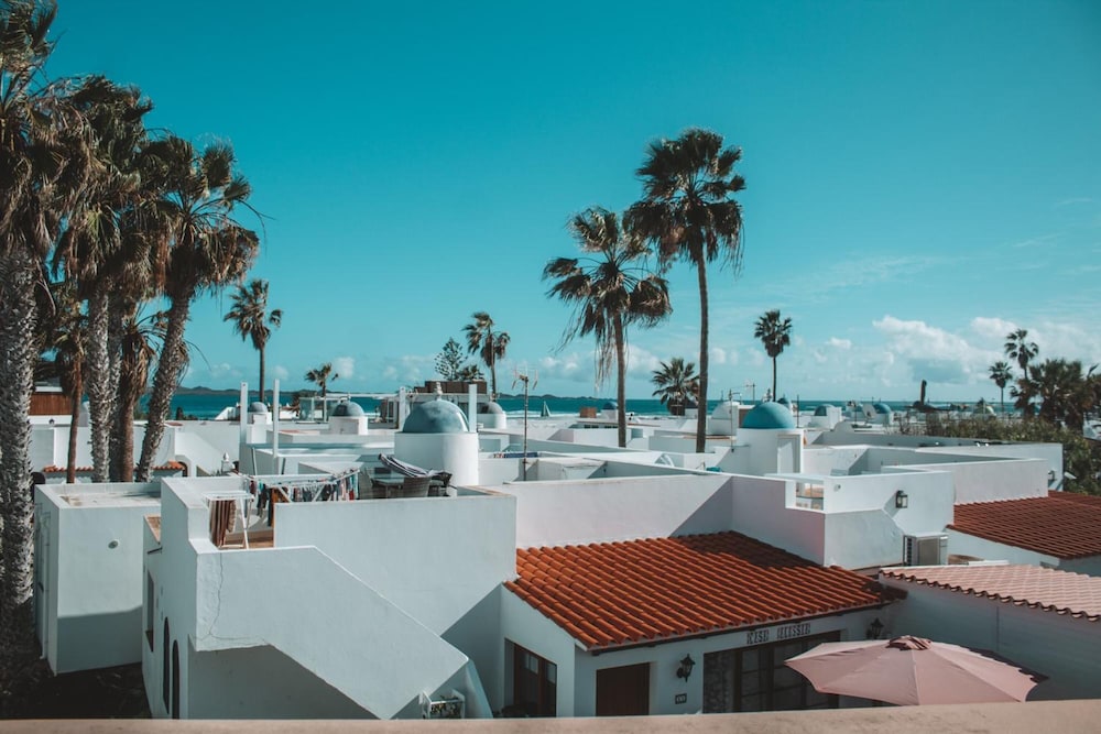 International Surf School & Camp - Hostel