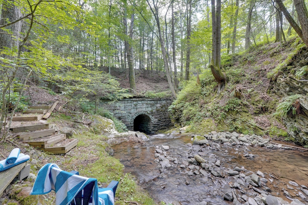 Creek Dips & Smores: Catskills Gem