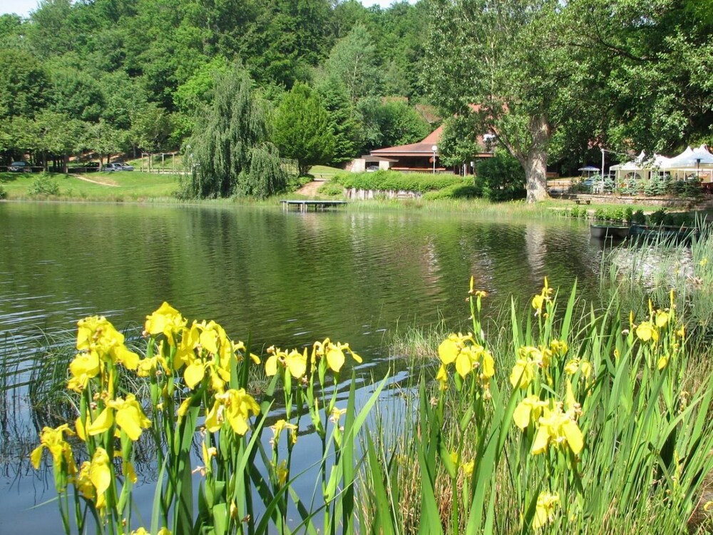 Photo 41
