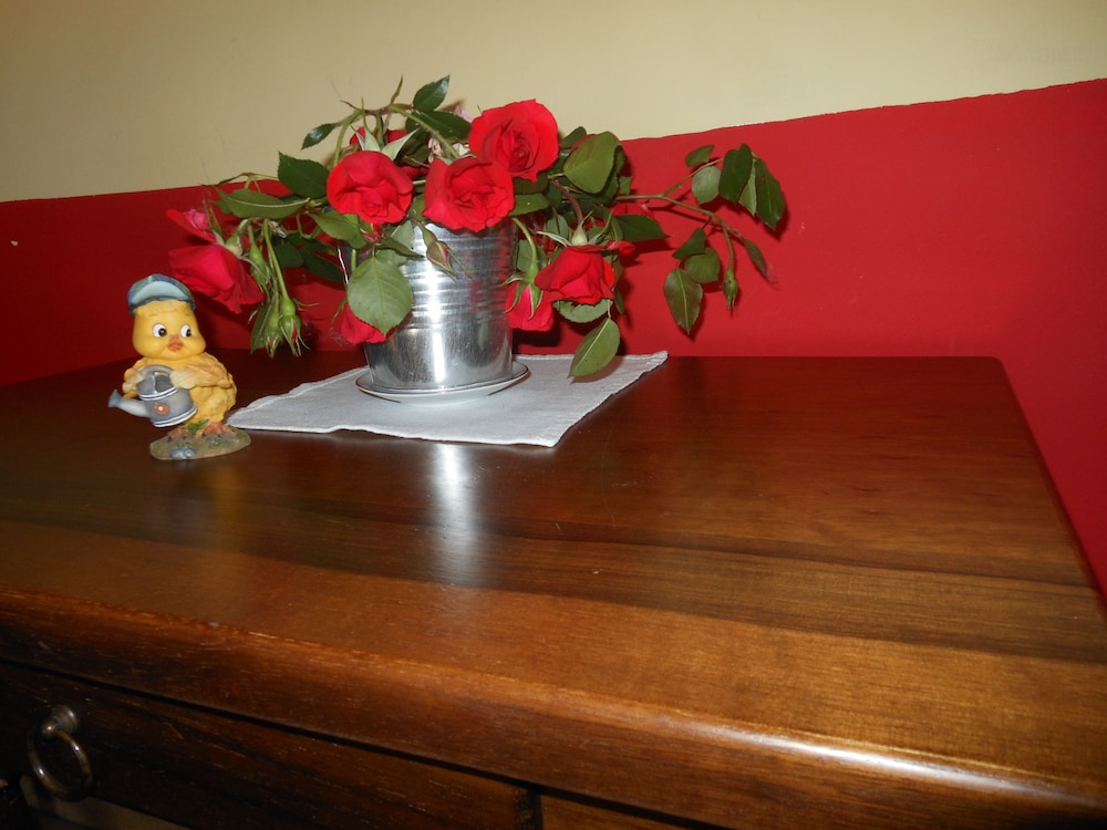 Photo 29