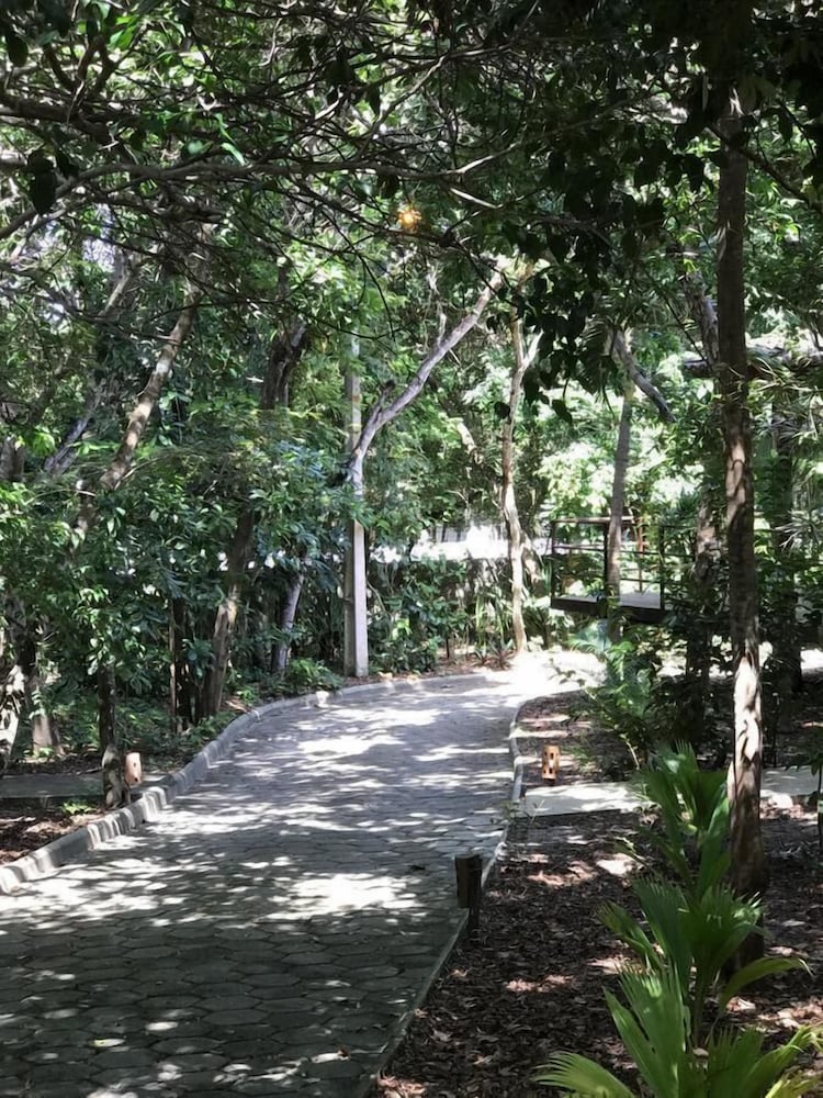 Pipa Hills Casa Varela view 5