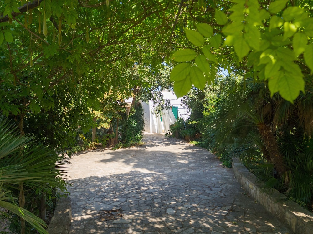 Kalinifta - Io Parto Io Arrivo