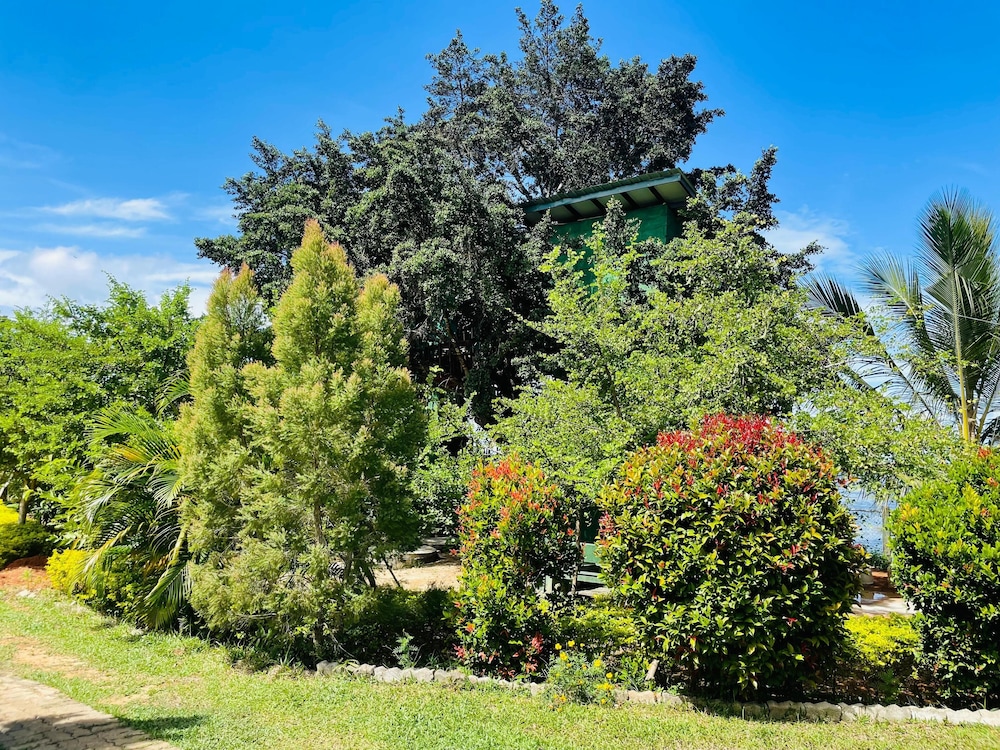 Yala Treetop Lake