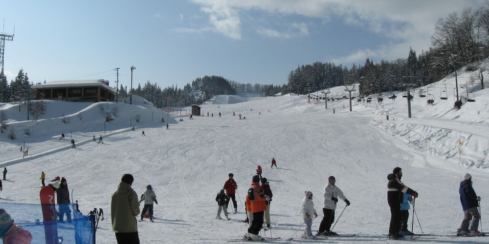 Akita Tsurugaikesou