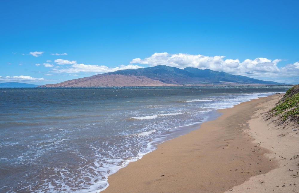Hip Hawaiian Oceanfront Vistas