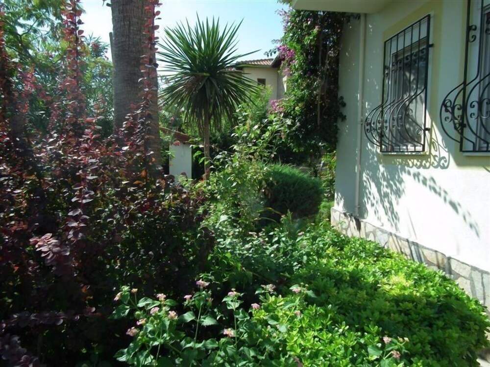 Photo 16