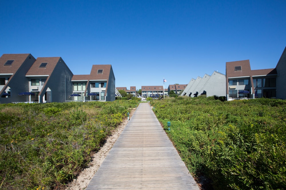 The Surf Club