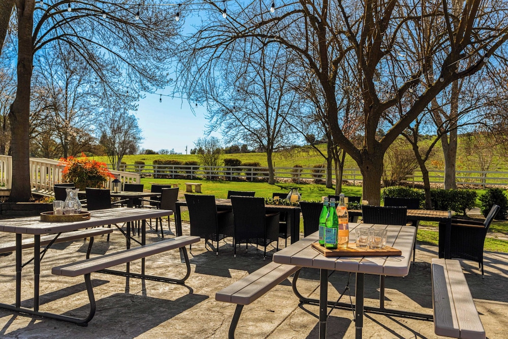Victorian Manor In Paso Robles Wine Country + Pool, Hot Tub, Firepit, Tennis Court Sleeps 28