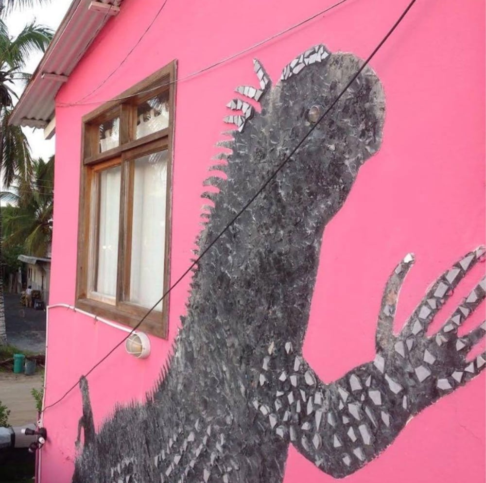 Casa Rosada Galapagos