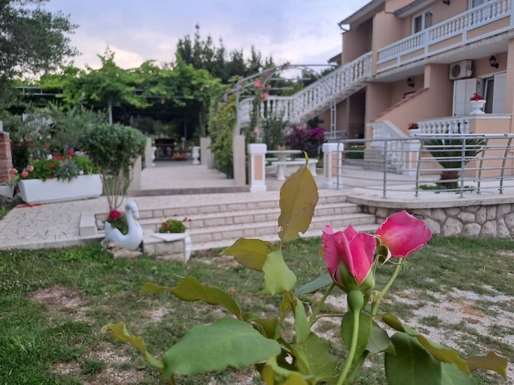 Photo 31