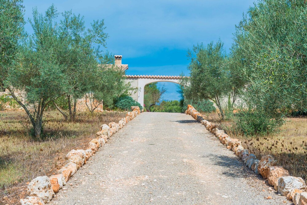 Photo 14