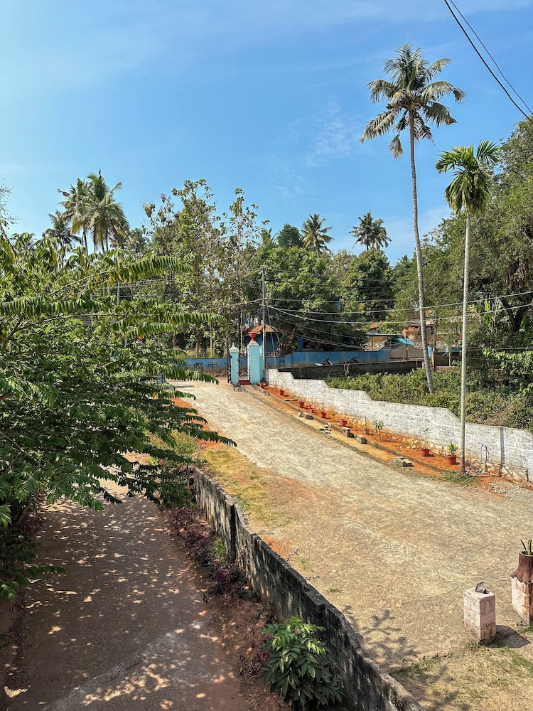 Molly's Hostel