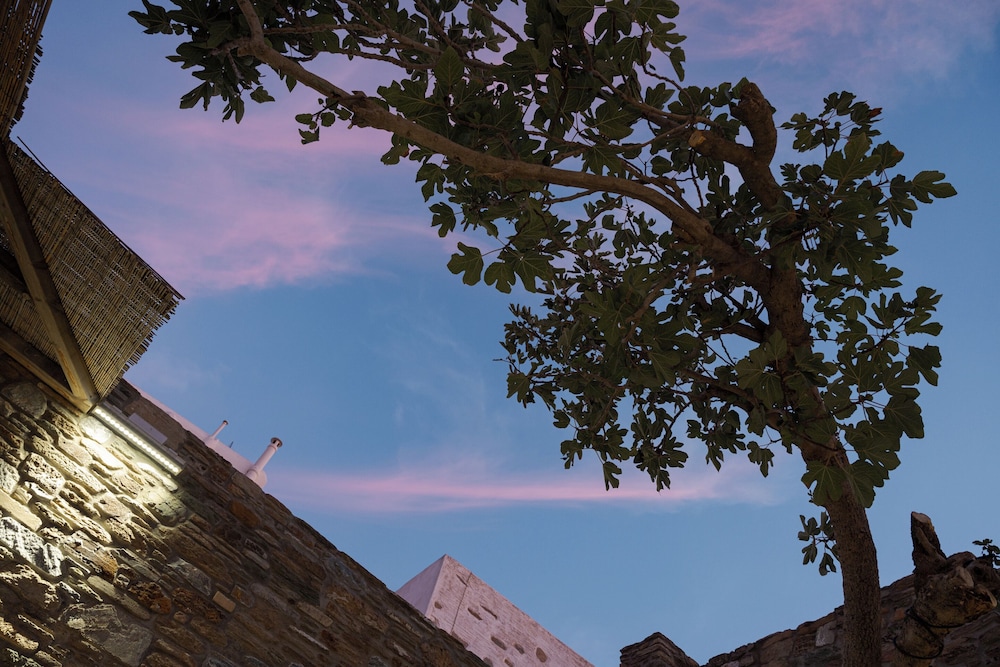 Porto Sereno Andros Suites photo 1