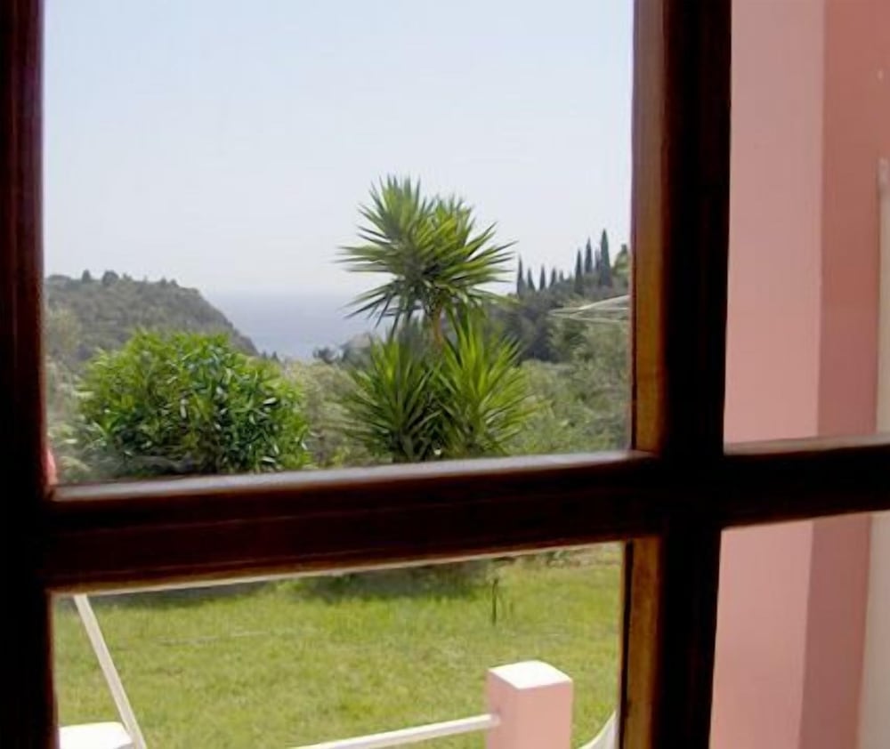 Photo 45