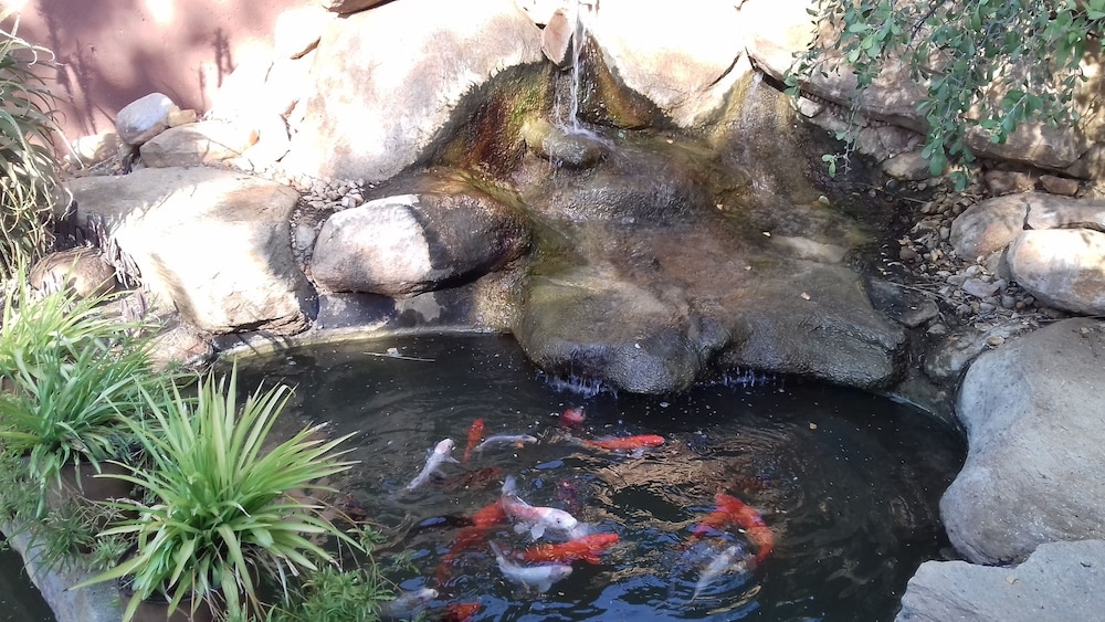 Photo 40