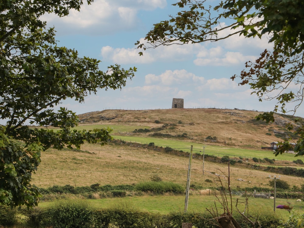 Cae Berllan