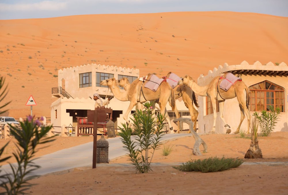 Thousand Nights Camp