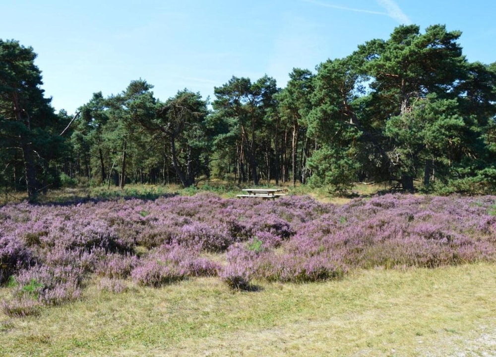 Cottage in Veluwe Near Forest Park view 5