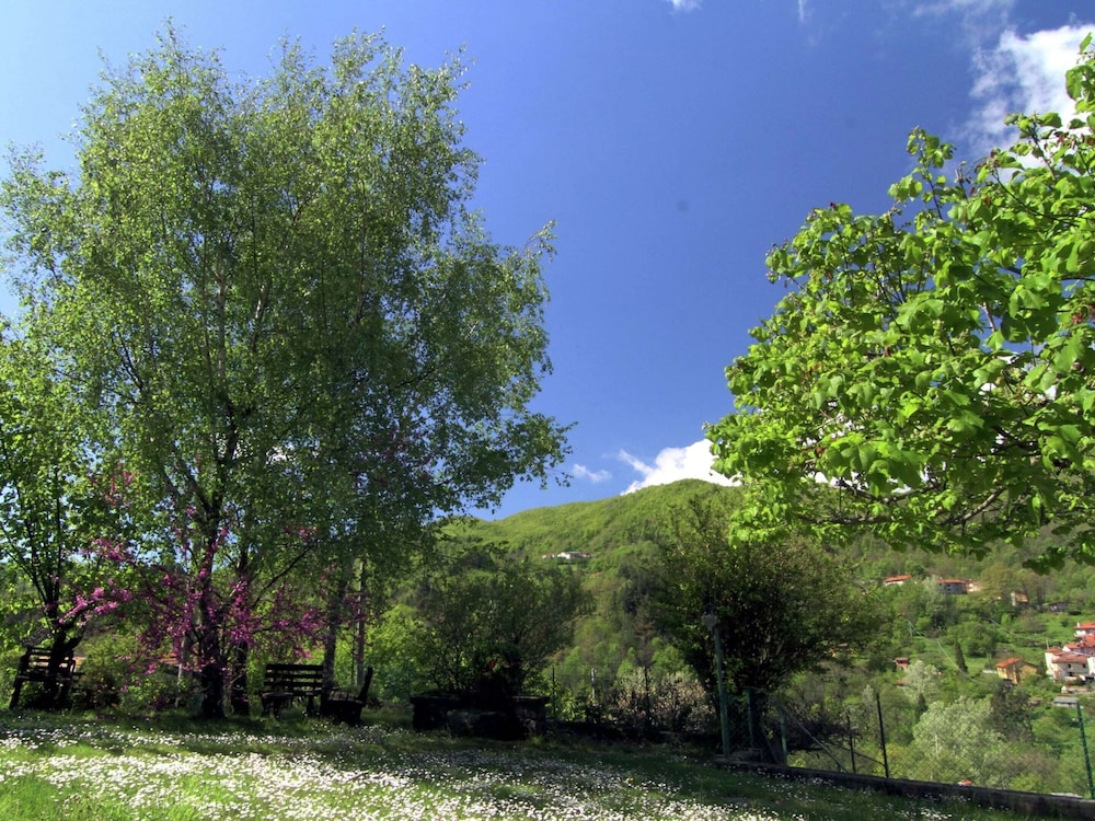 Photo 27