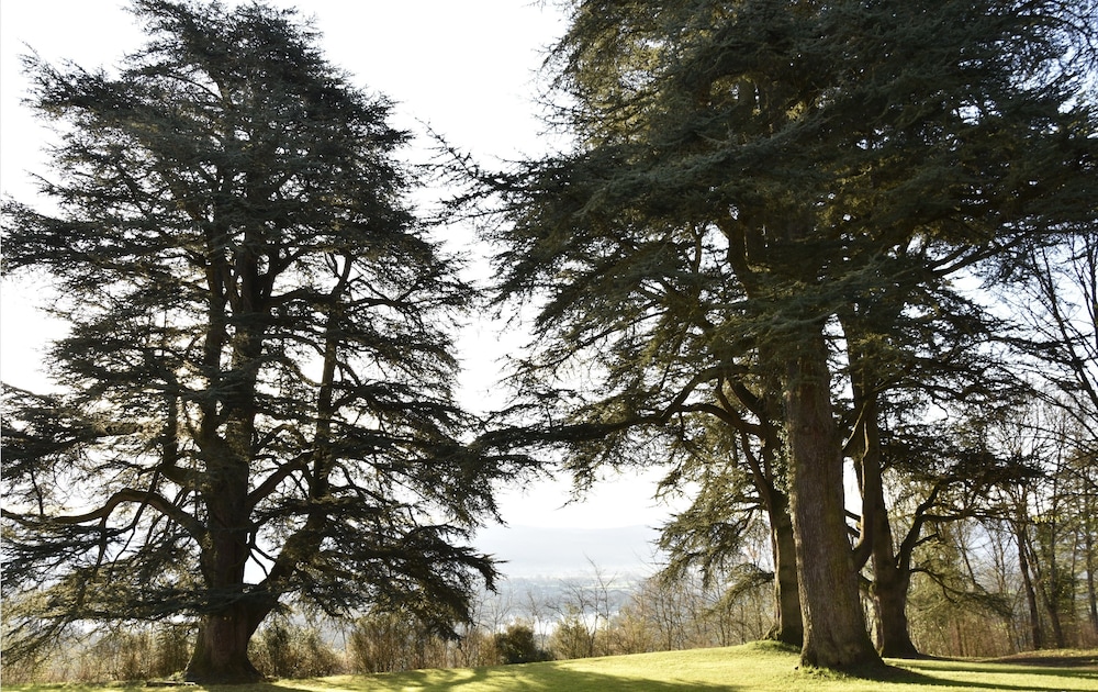 Château de Varambon