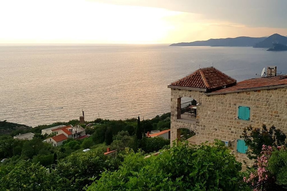 Olive Resort