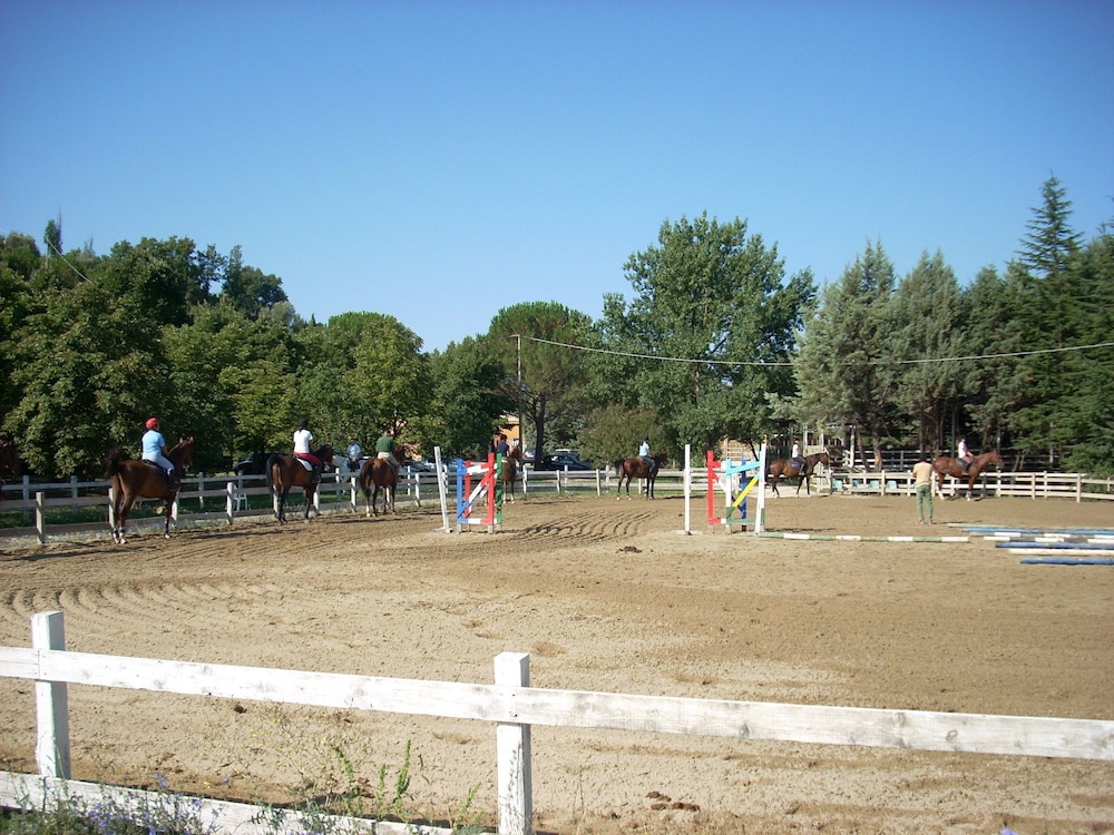 Photo 39