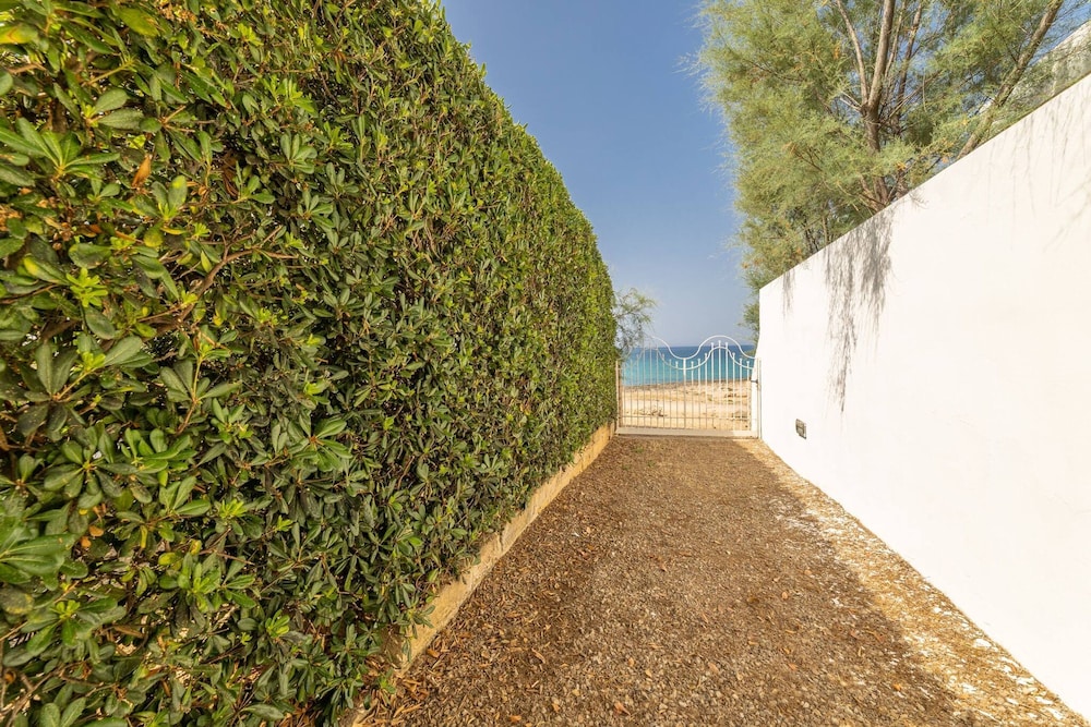 Belvedere - Seafront Apartment - 3 Places