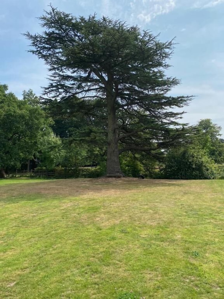 Coundon Lodge
