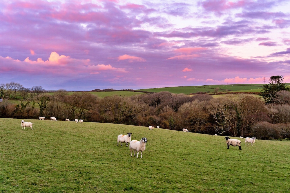 Studio in Boscastle Near Tintagel Castle