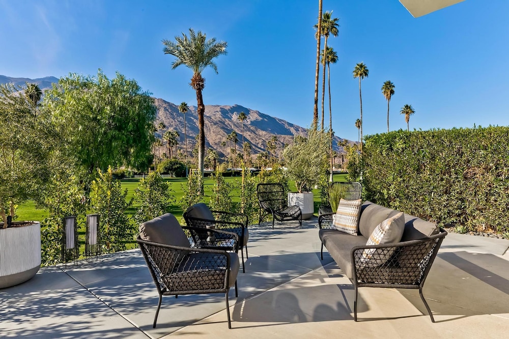 Indian Canyon Oasis in Palm Springs
