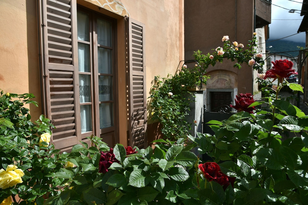 Roseto del Drago view 3