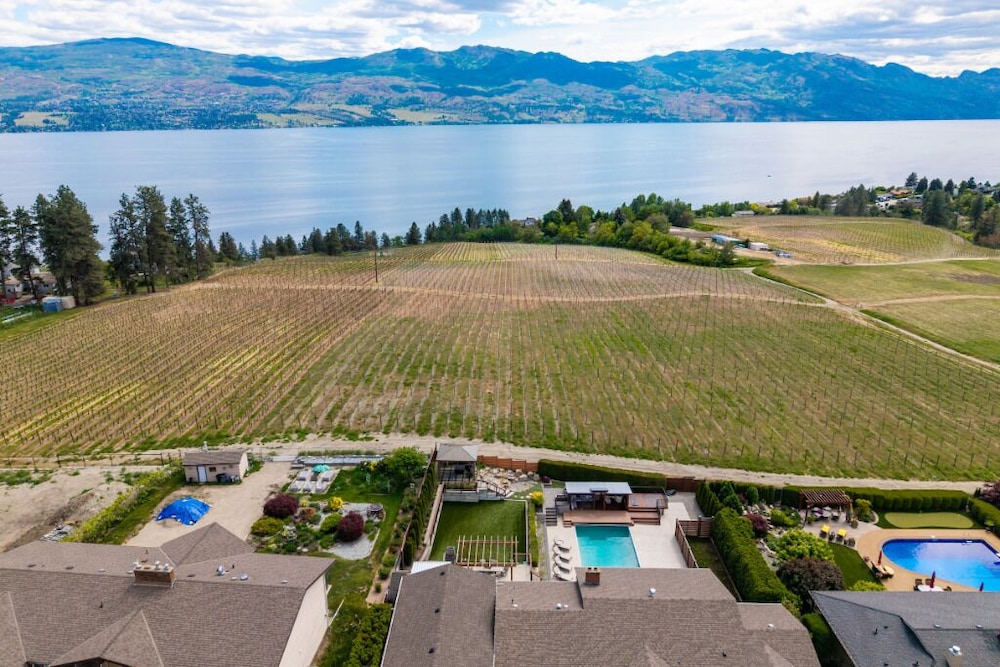 Vineyard Views