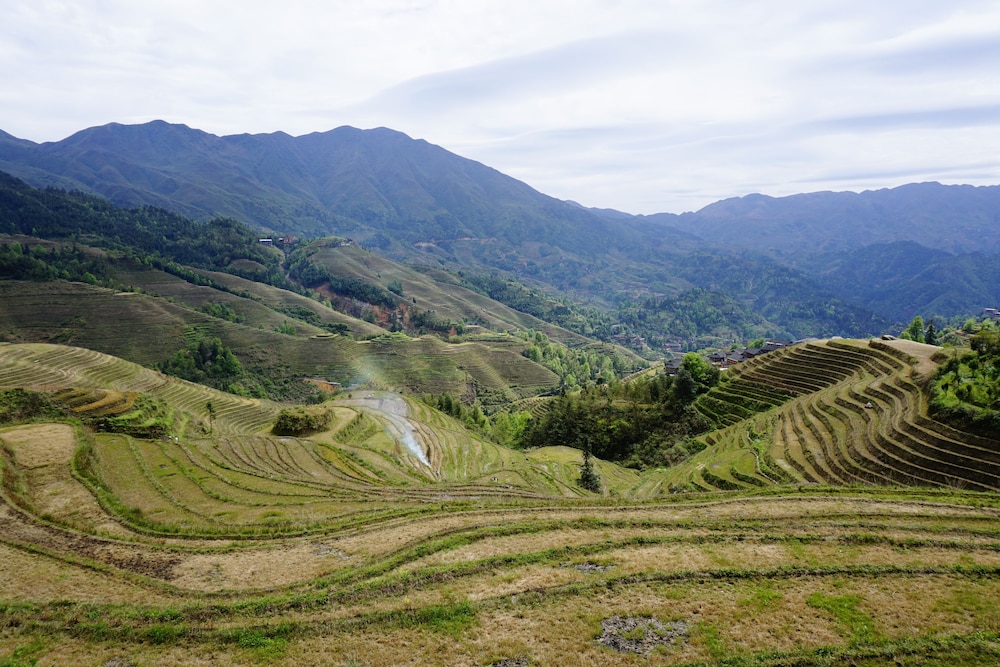 Longji Rice Terraces Hostel